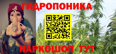 гидра Заводоуковск