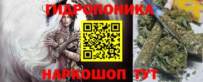 гидра Заводоуковск