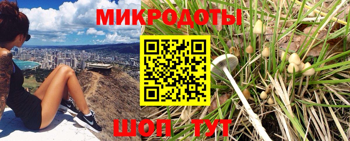 Галлюциногенные грибы Magic Shrooms Лабинск