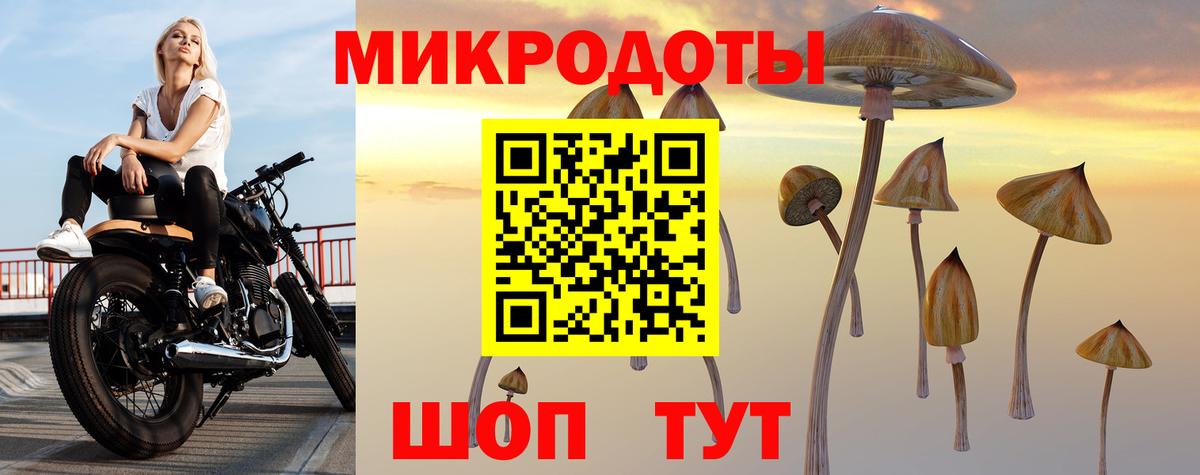 Галлюциногенные грибы Psilocybe  Вход с VPN  Галлюциногенные грибы GOLDEN TEACHER  Лабинск 